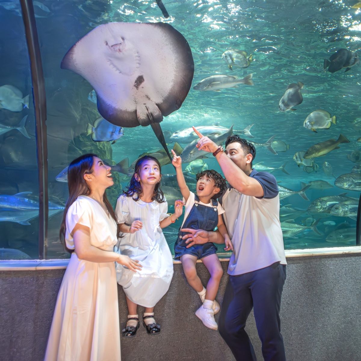 Thủy cung Times City