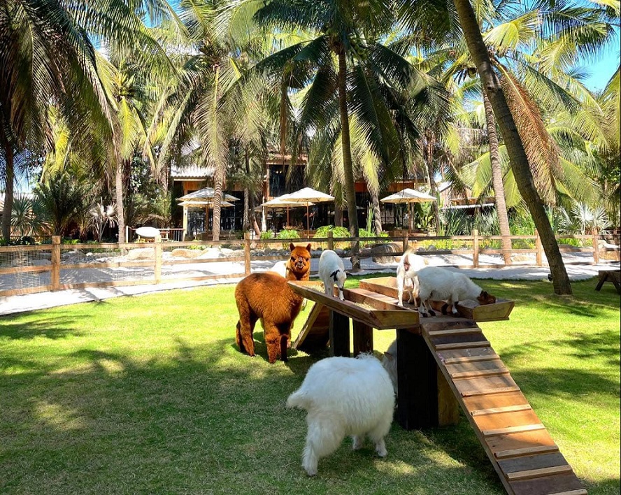 tiem ca phe hung dong