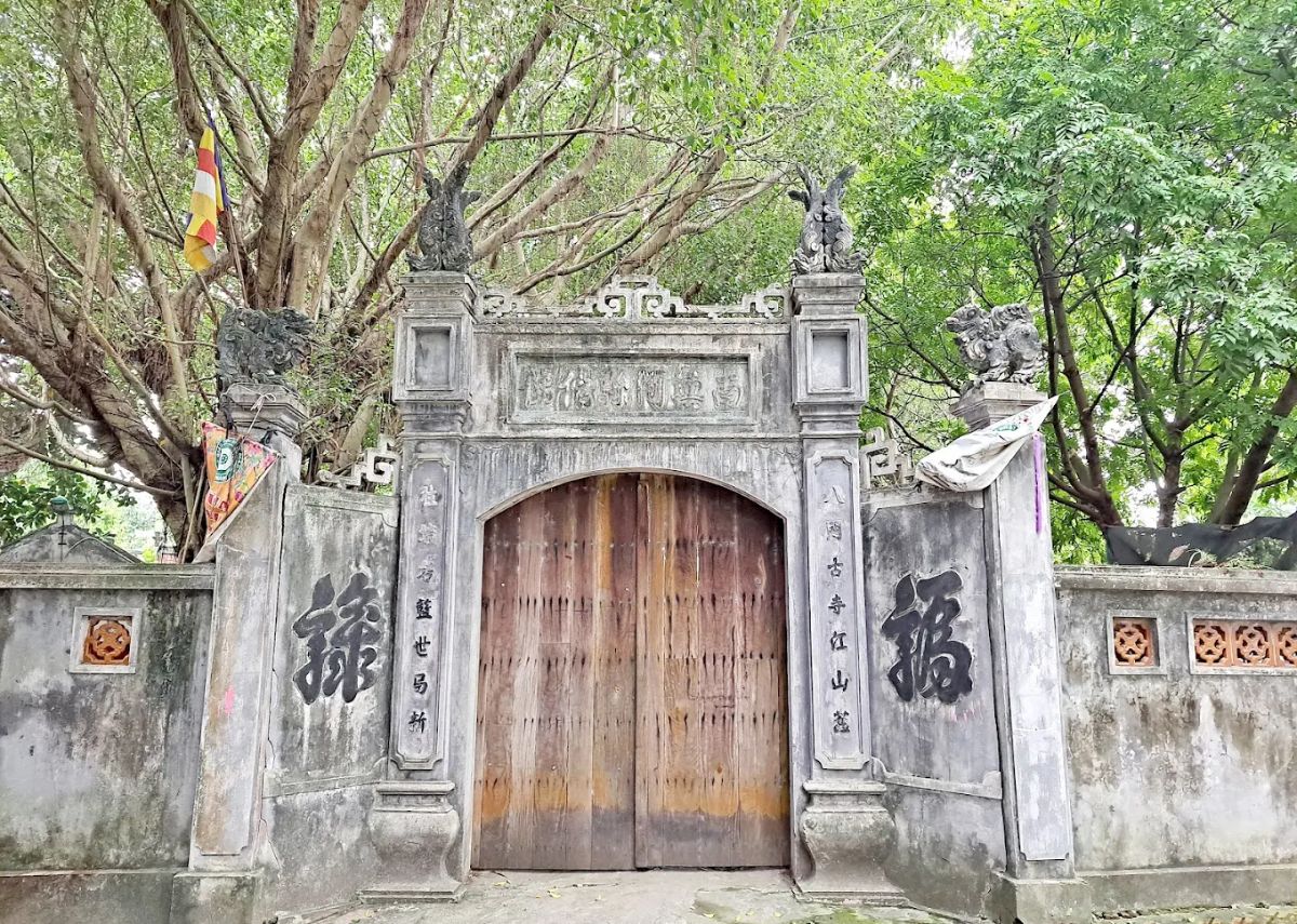 Tìm hiểu lịch sử chùa Dâu