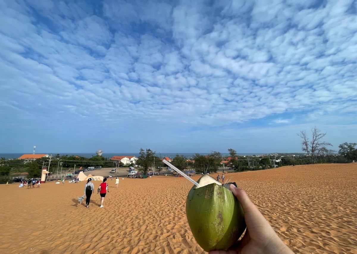 Đồi Cát Đỏ Uống nước dừa trên đồi cát Mũi Né