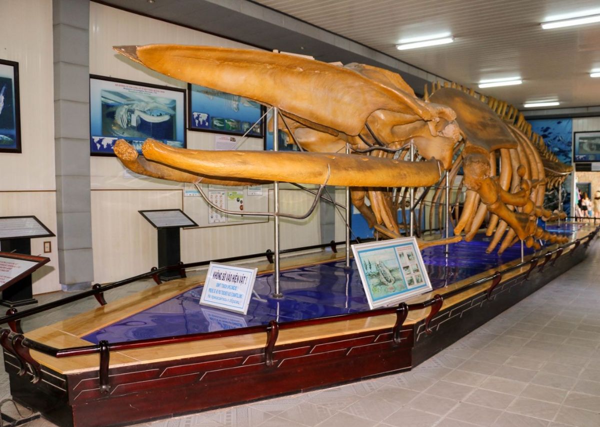 Viện Hải dương học Nha Trang