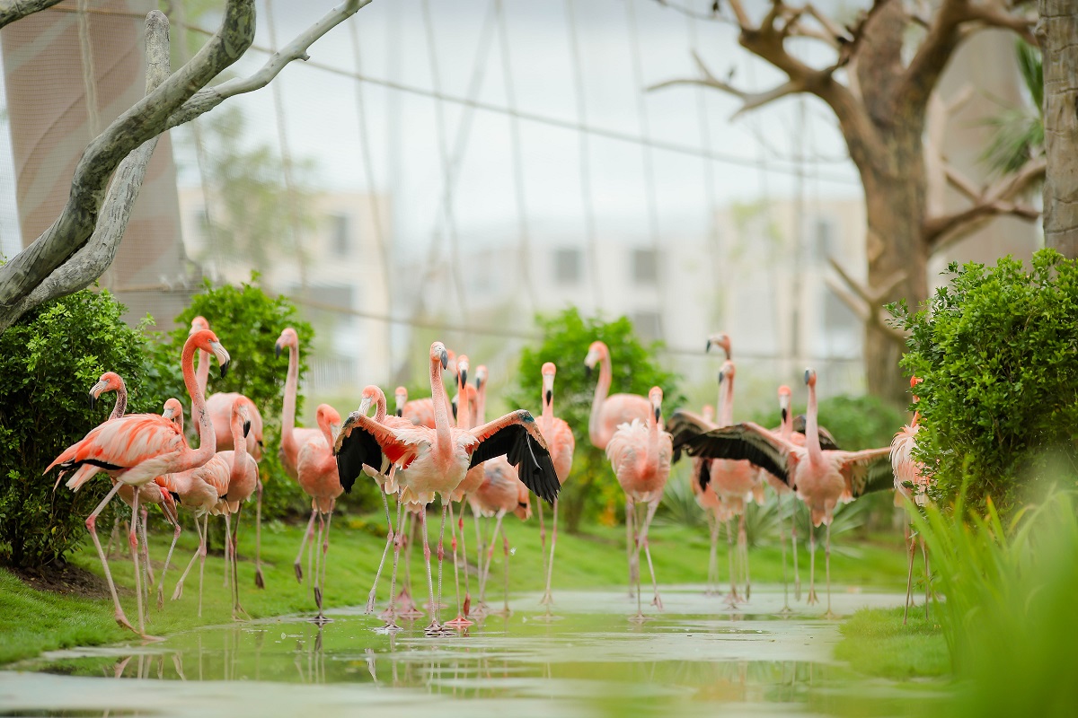 Vườn thú VinWonders Vũ Yên