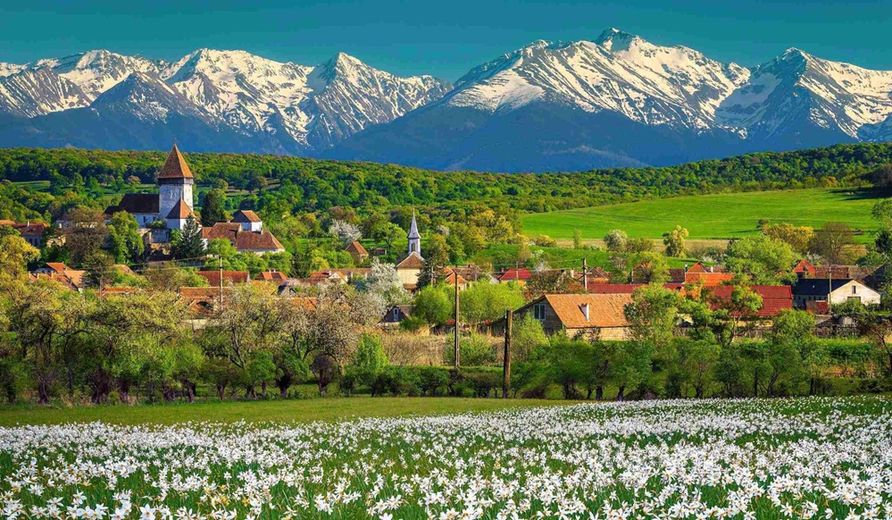 Exploring Romania in July from India