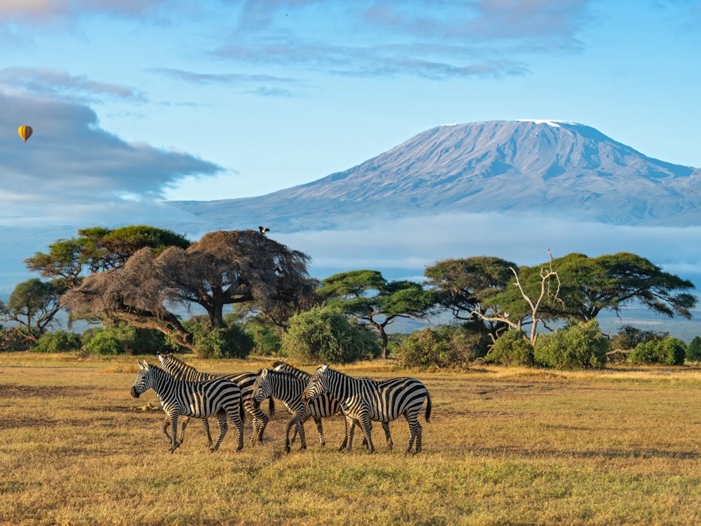 Kenya is perfect for an August vacation