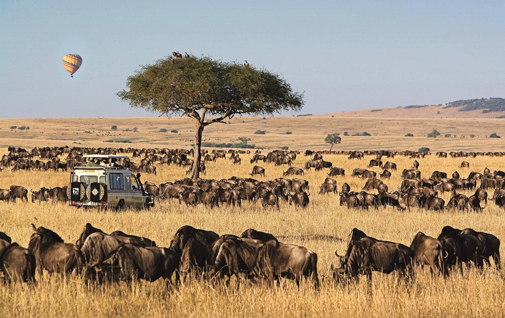 Maasai Mara is ideal for big families