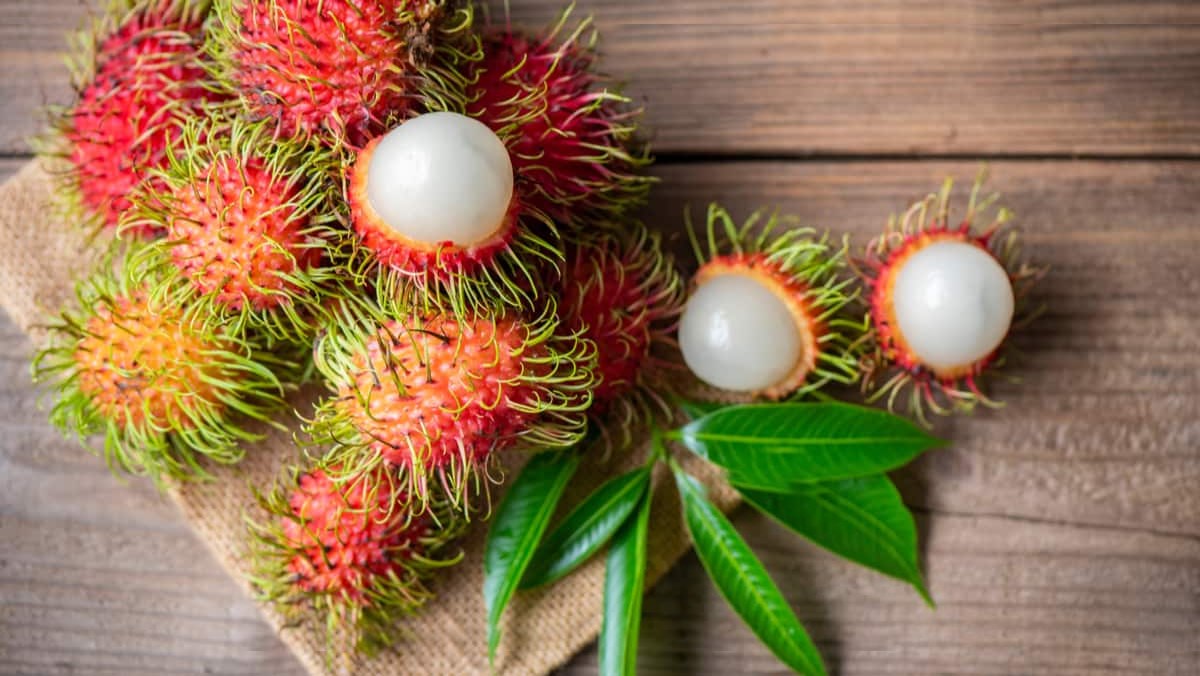 Vietnam fruit season The rambutan season in Vietnam begins in May