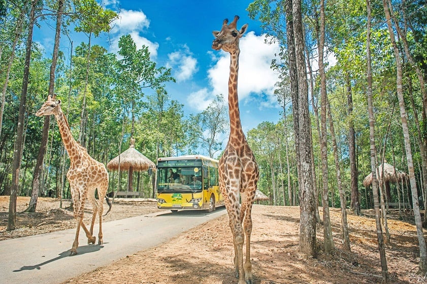 Wild Vinpearl Safari Phu Quoc