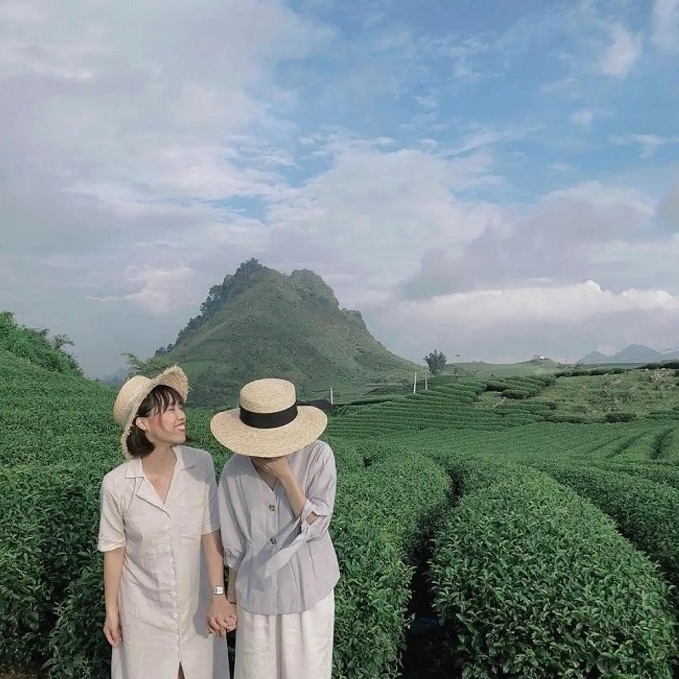 Check in đồi chè Kỳ Trung