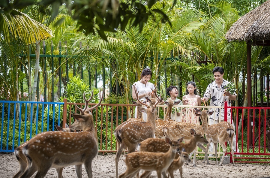 fun at VinWonders Nam Hoi An