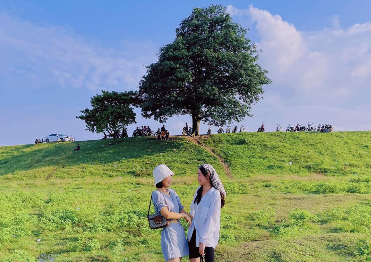 Hình ảnh cây cô đơn Bắc Ninh