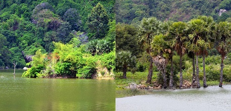 Khám phá hồ Ô Thum: Viên ngọc ẩn giữa lòng An Giang