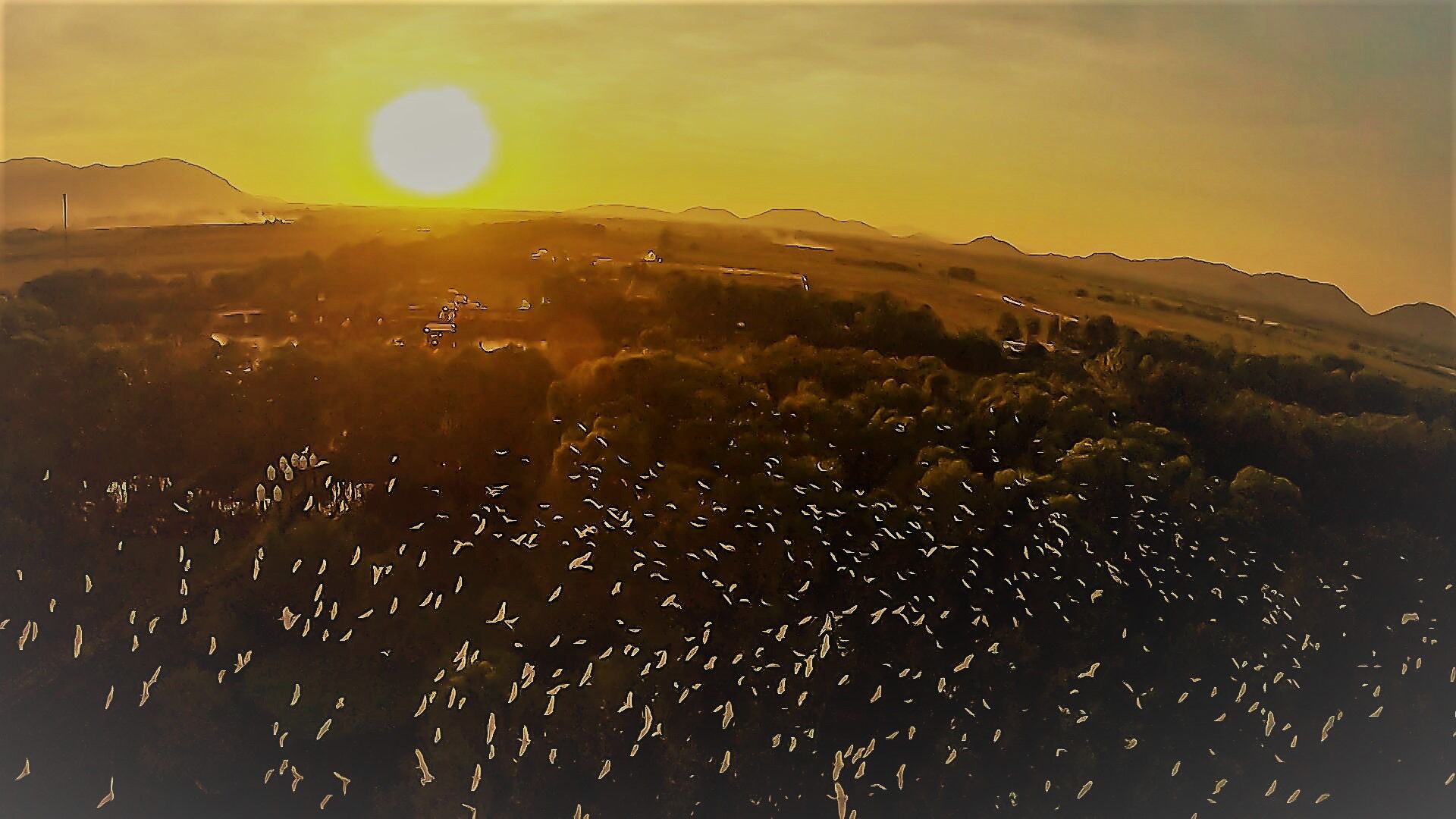 Hoàng hôn rừng tràm Trà Sư An Giang