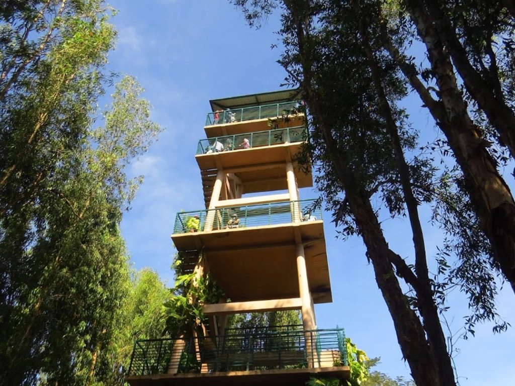 Lầu vọng cảnh rừng tràm Trà Sư