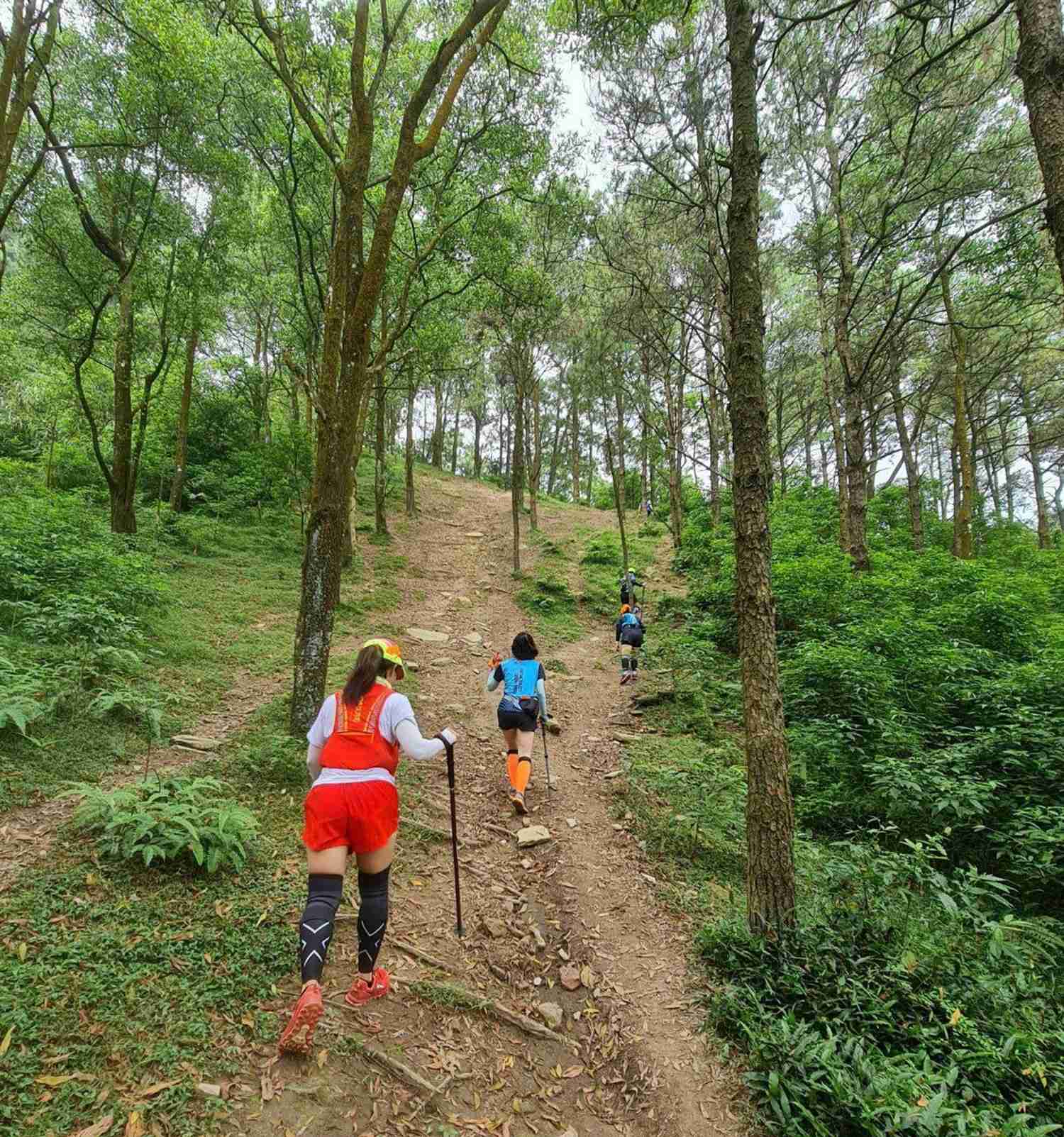 Địa điểm du lịch gần Bắc Ninh núi Hàm Lợn