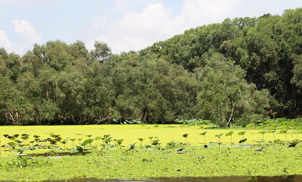 Lịch sử rừng tràm Trà Sư