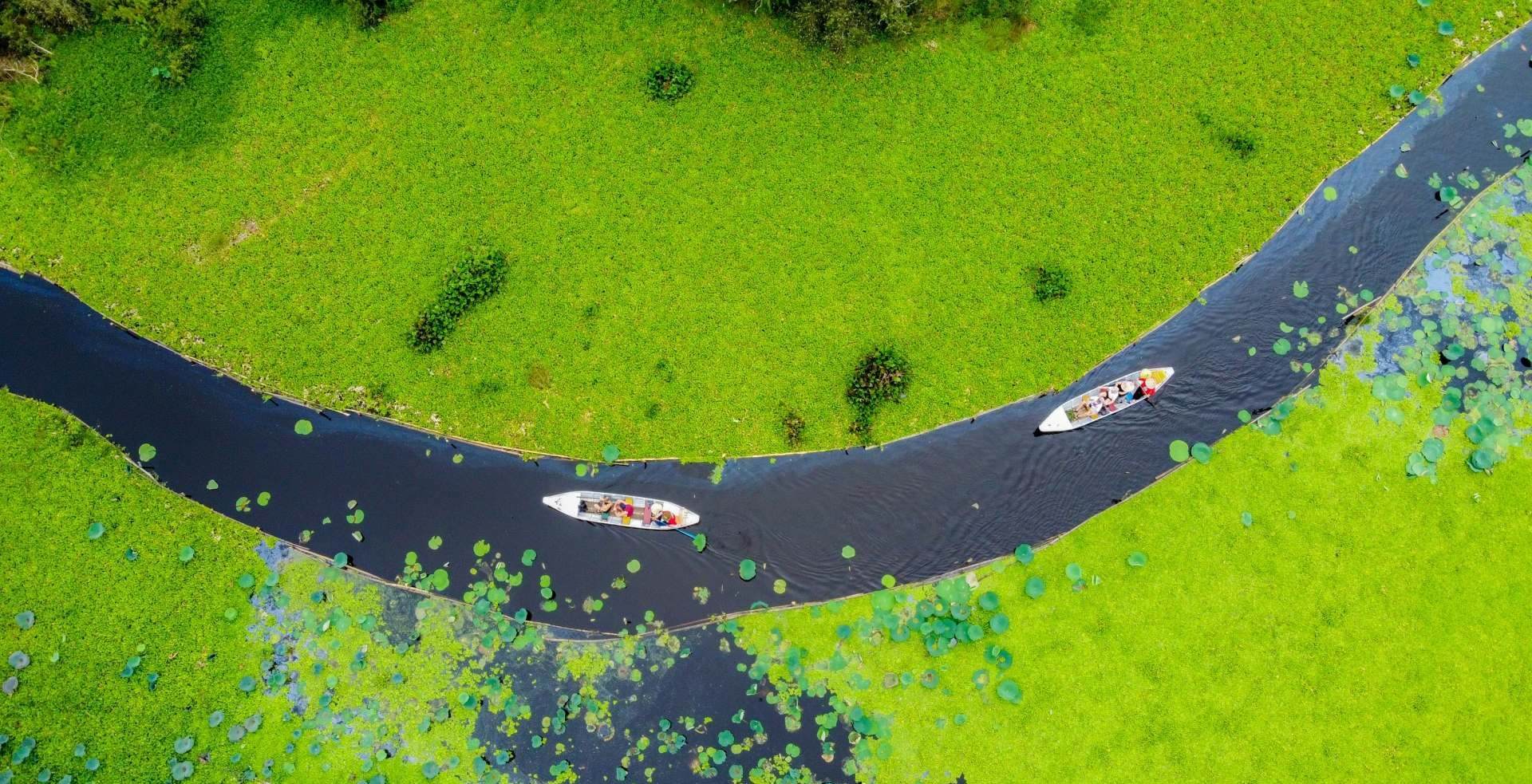 Rừng tràm Trà Sư