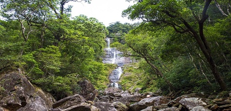 Khám phá thác Vũ Môn: Báu vật giữa đại ngàn Hà Tĩnh