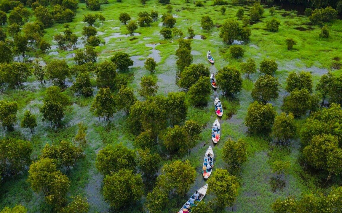 Tour du lịch rừng tràm Trà Sư