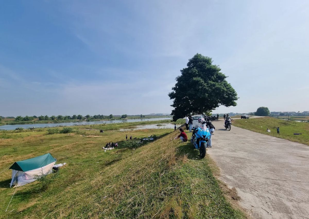 Về thăm cây cô đơn ở Bắc Ninh