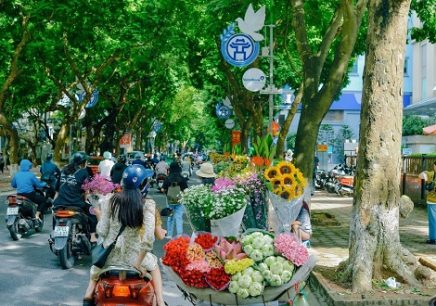 February in Vietnam: Weather, what to expect & travel tips
