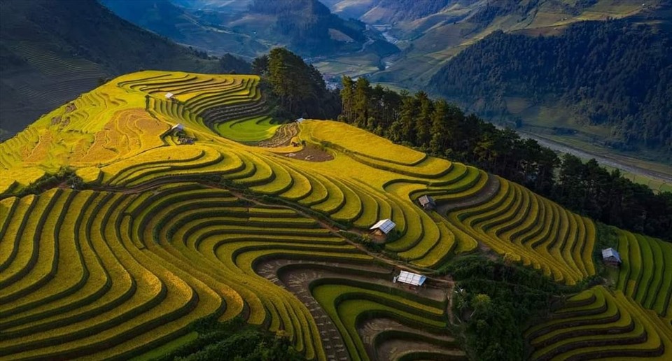 Guide for first time visitors to Mu Cang Chai