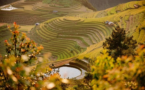 Hanoi to Mu Cang Chai: Best ways to travel & useful tips