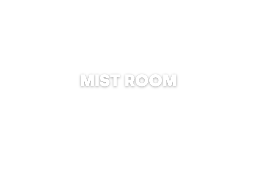 MIST ROOM