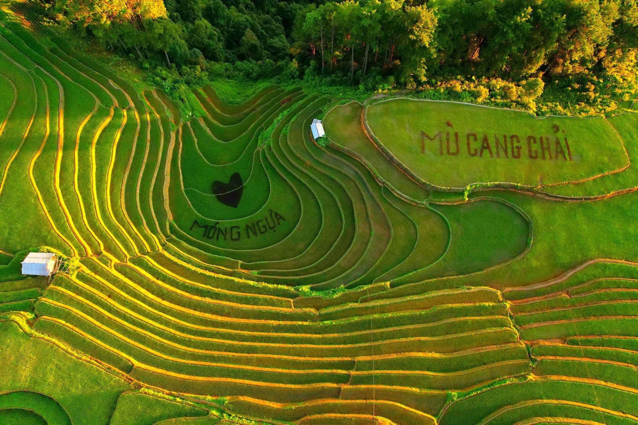 Mu Cang Chai