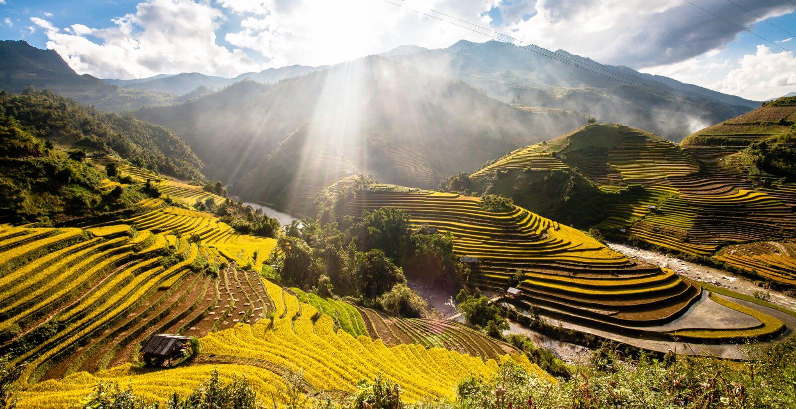 Mu Cang Chai rice terraces