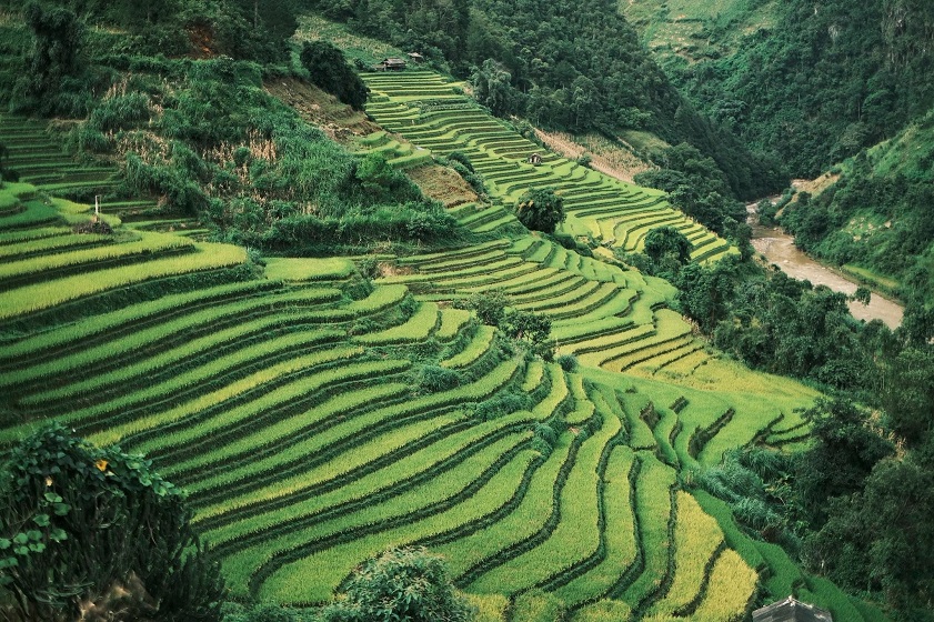 Mu Cang Chai rice terraces were recognized as a National Scenic Site