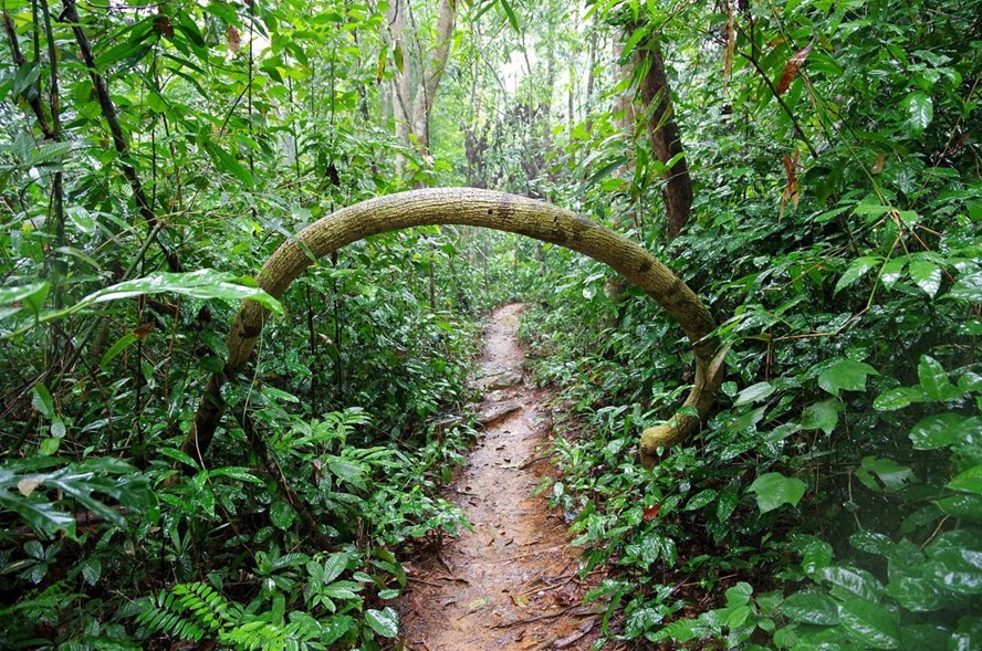 Phong Nha Botanic Garden loop