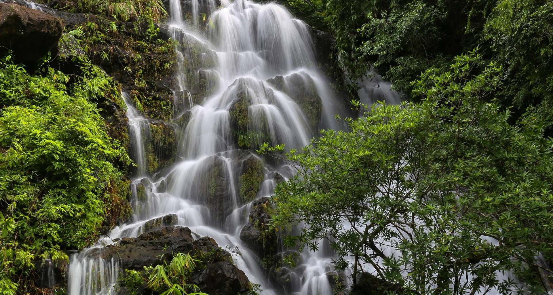 Phong Nha Botanical Garden