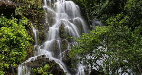 Phong Nha Botanic Garden: A journey through lush jungle trails