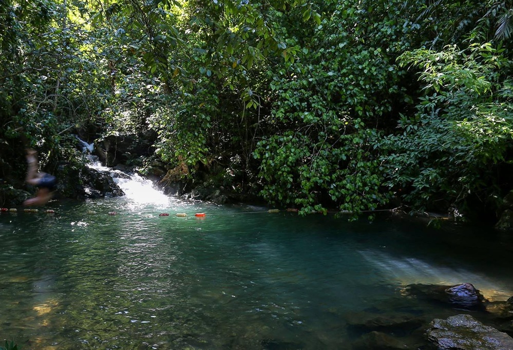Phong Nha botanic Garden
