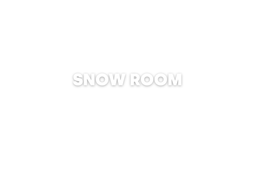 SNOW ROOM