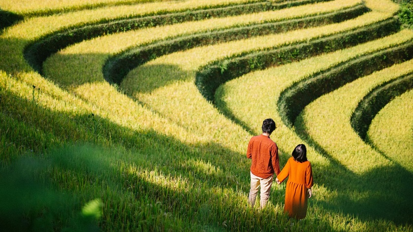 See the lush rice terraces of Mu Cang Chai