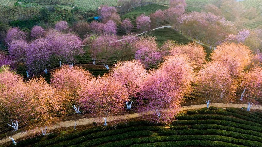 Spend January in Sapa Vietnam