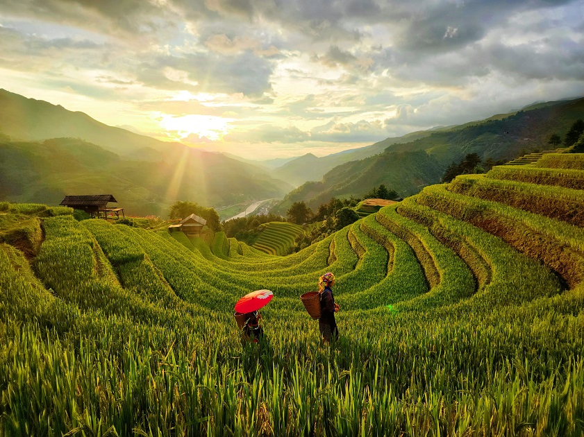 There are many activities to try at Mu Cang Chai rice terraces in Vietnam