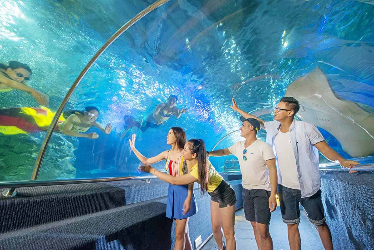 Thủy cung VinWonders Phú Quốc