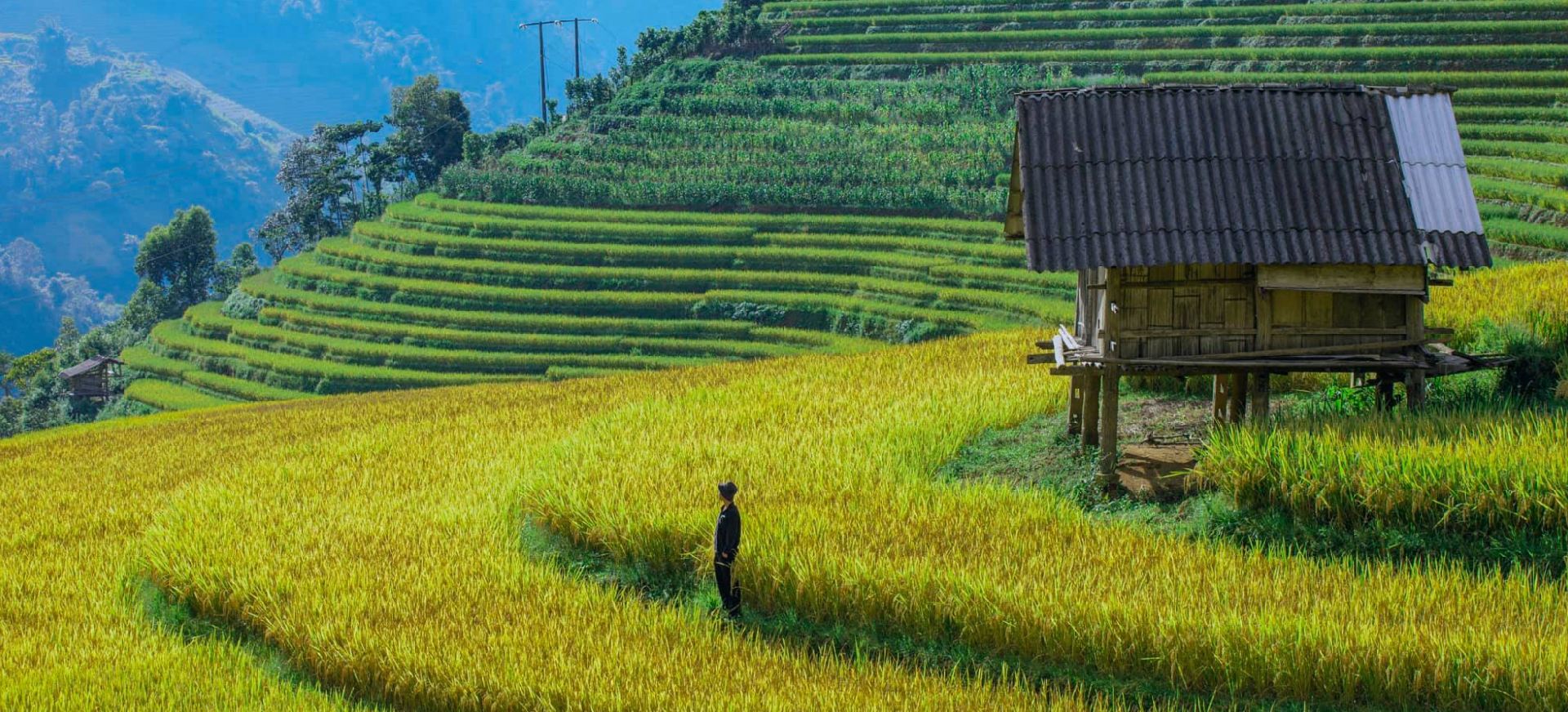 Tips to reduce the Vietnam trip cost from India