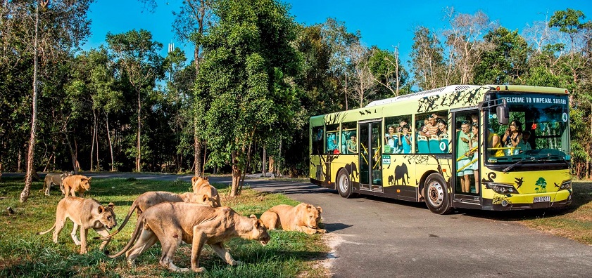 June in Vietnam Vinpearl Safari Phu Quoc is Vietnam’s first semi wildlife zoo