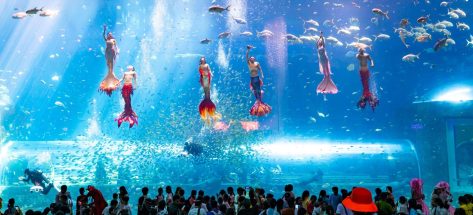 Unlimited & Venice All-in-one combos: Unlimited Thrills, Unforgettable Memories in Phu Quoc