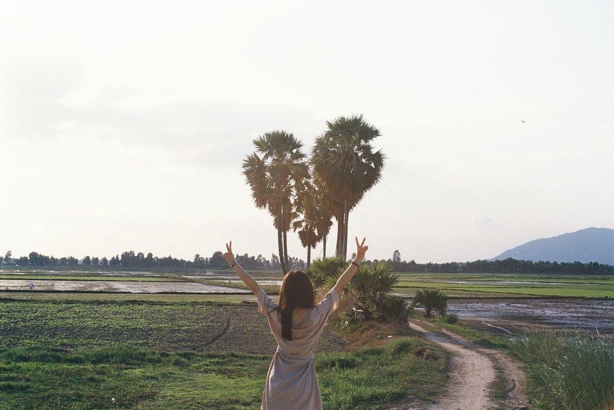 Check-in cây thốt nốt trái tim An Giang