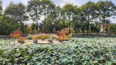 Chiêm bái chùa Huỳnh Đạo: Ngôi chùa rồng độc đáo ở An Giang