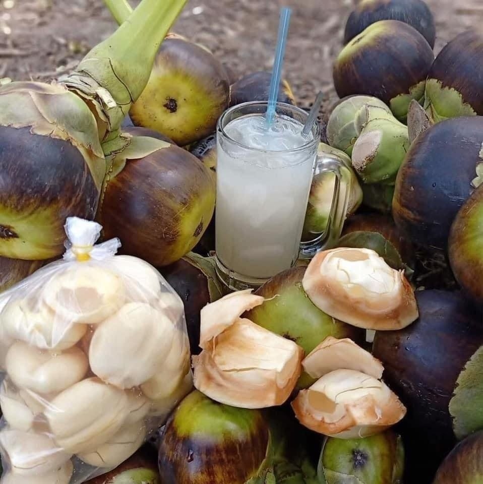 Du lịch An Giang Đặc sản thốt nốt An Giang