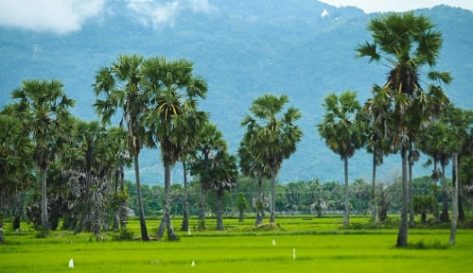 Kinh nghiệm du lịch An Giang: 20 địa điểm hấp dẫn nhất