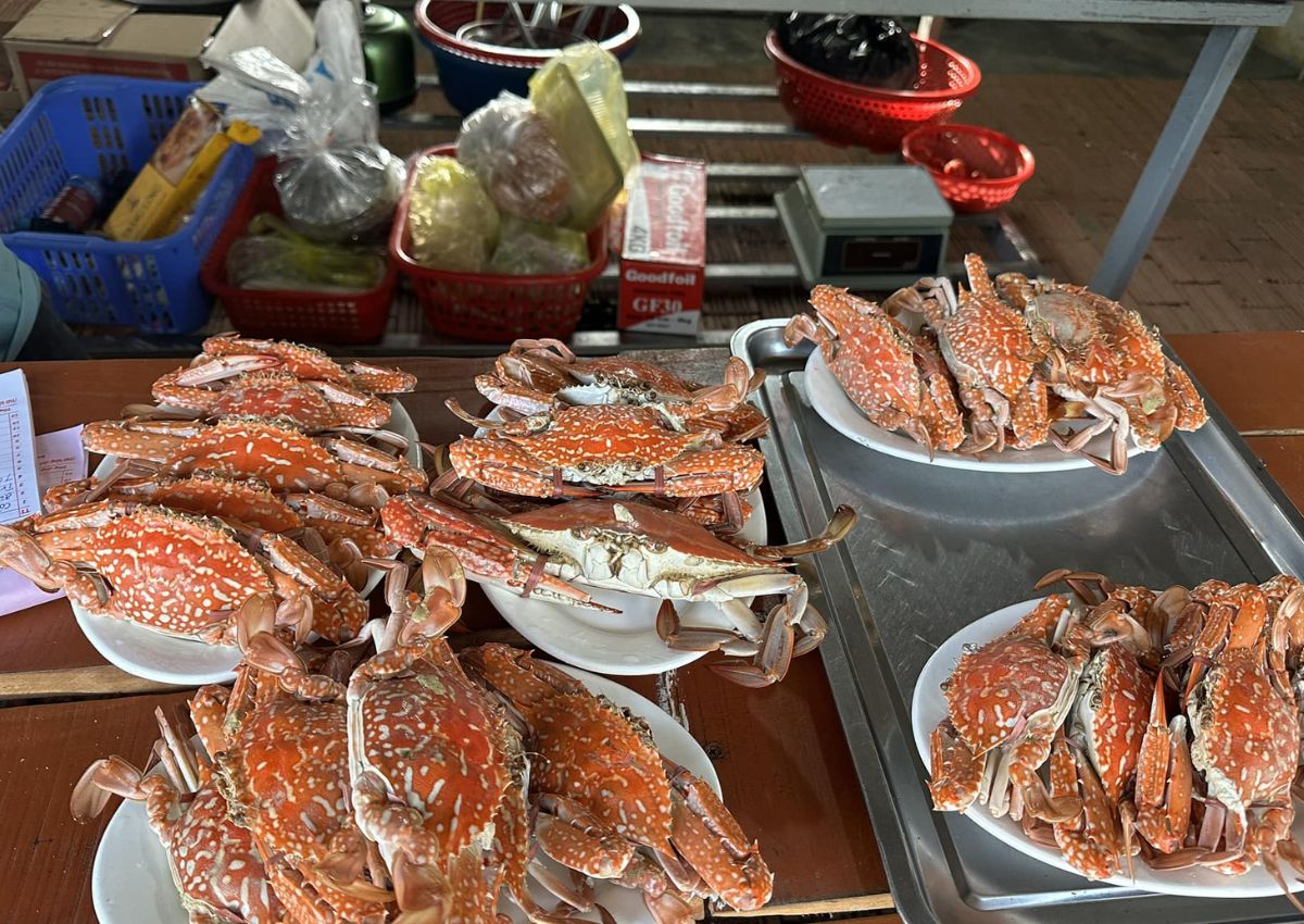 Hải sản Hà Tĩnh Hải sản bao cấp 1994 Hà Tĩnh