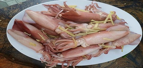 17 địa chỉ hải sản Hà Tĩnh nên ghé thưởng thức & mua làm quà