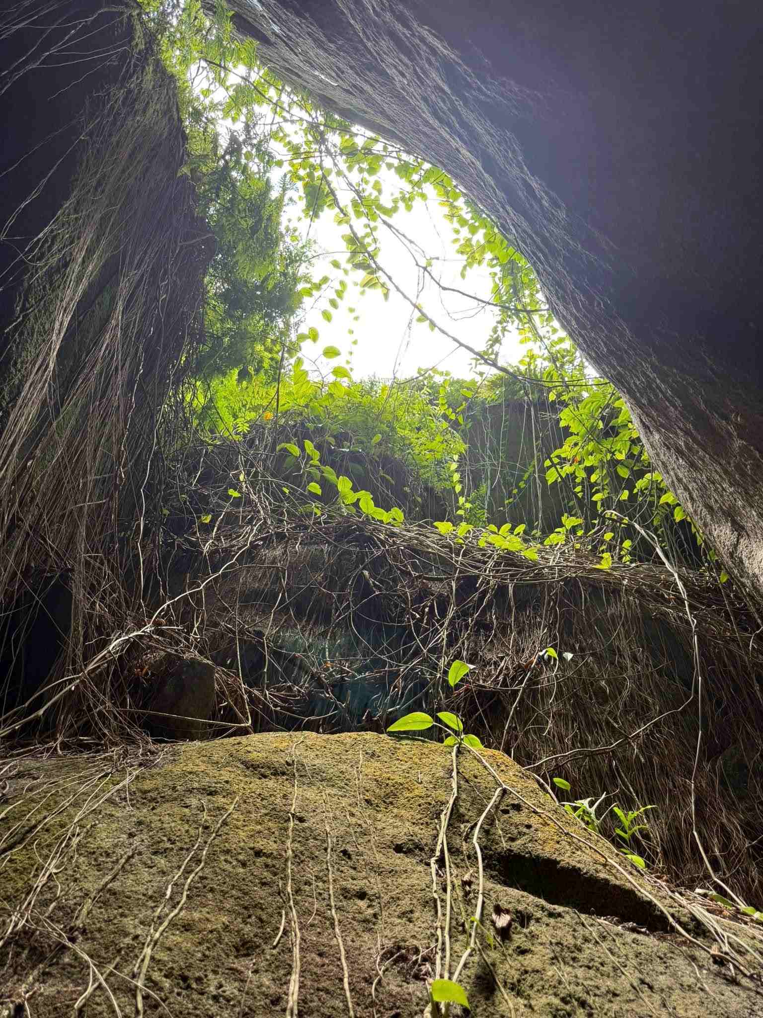 Huyền thoại đồi Tức Dụp