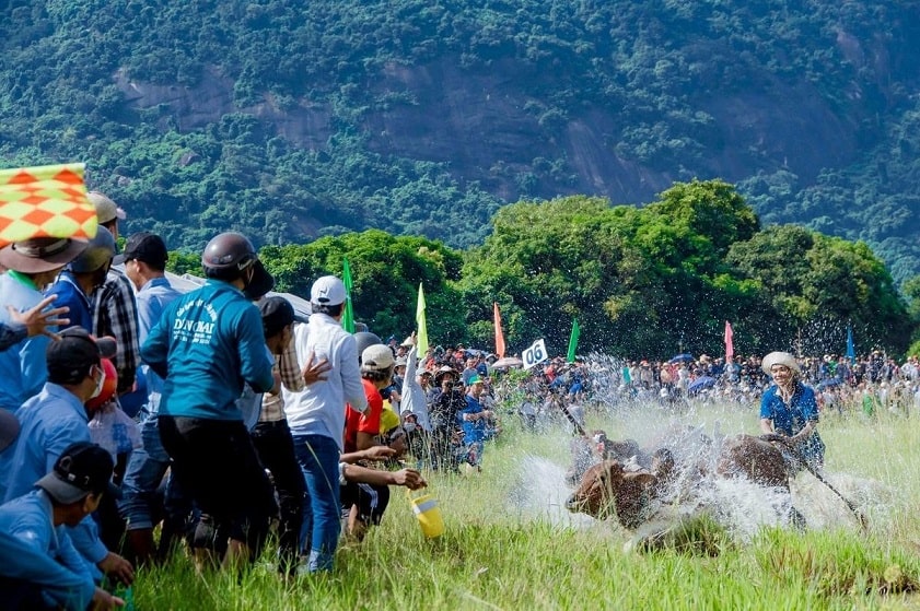 Lưu ý xem lễ hội Đua bò Bảy Núi An Giang